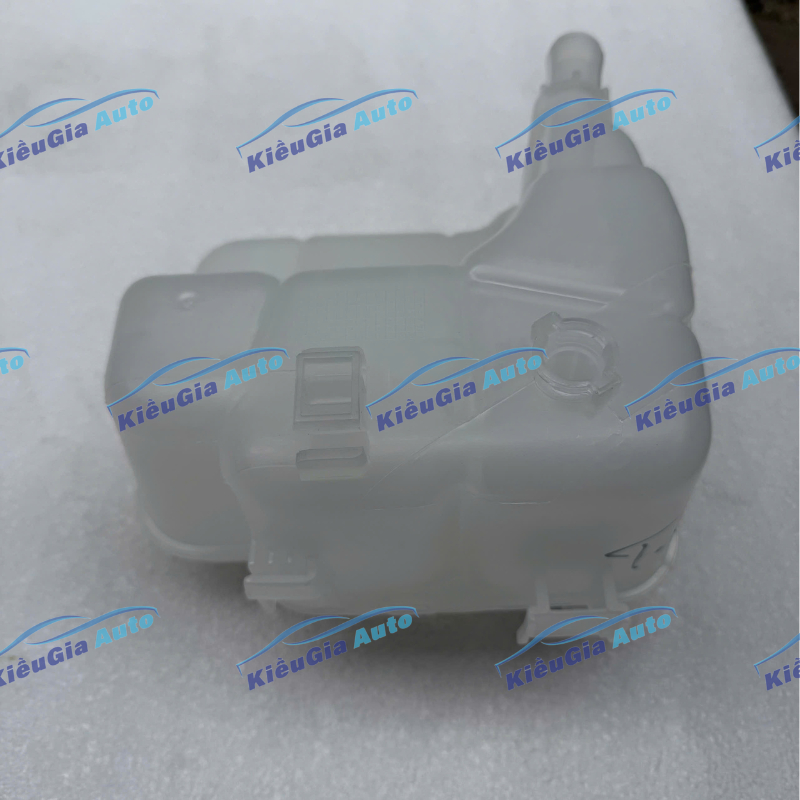 Bình nước phụ Daewoo Lacetti CDX/Se 2009-2011