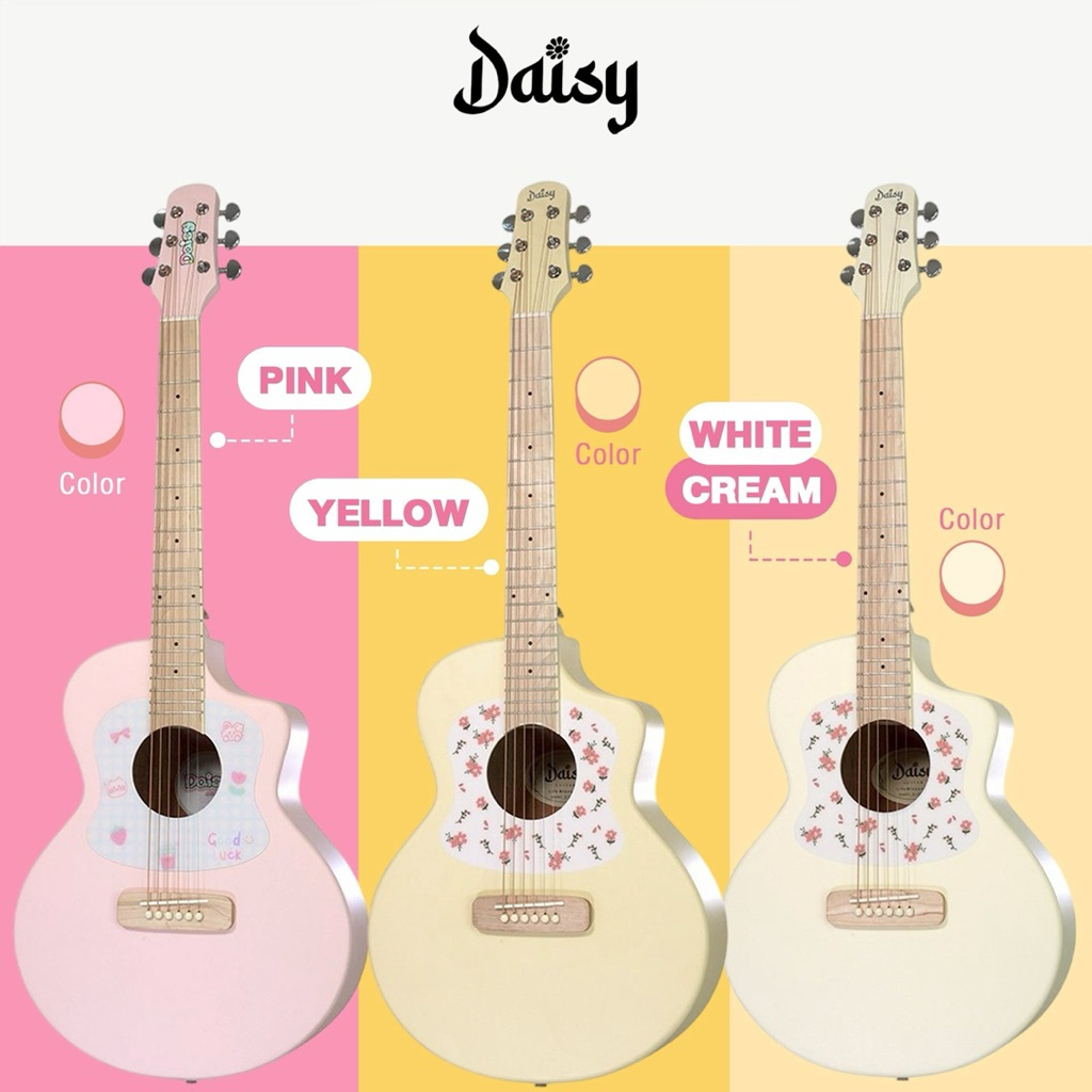 Guitar Acoustic Daisy D100