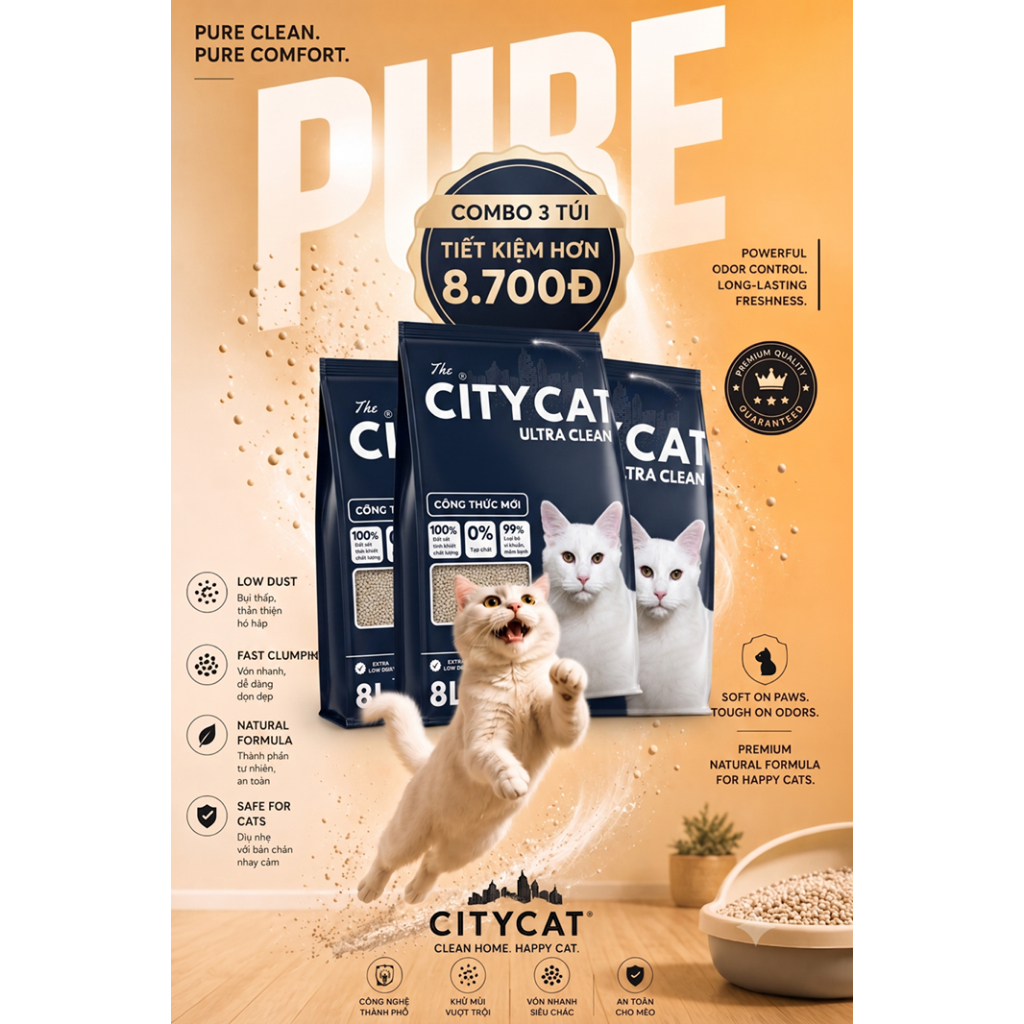 COMBO 3 TÚI CITYCAT