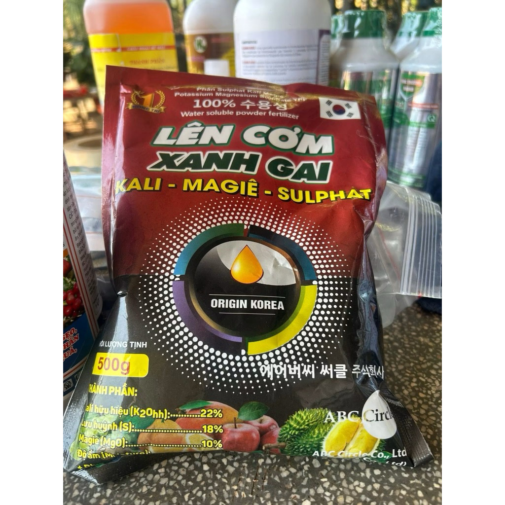 KALI MAGIE SUNFAT
