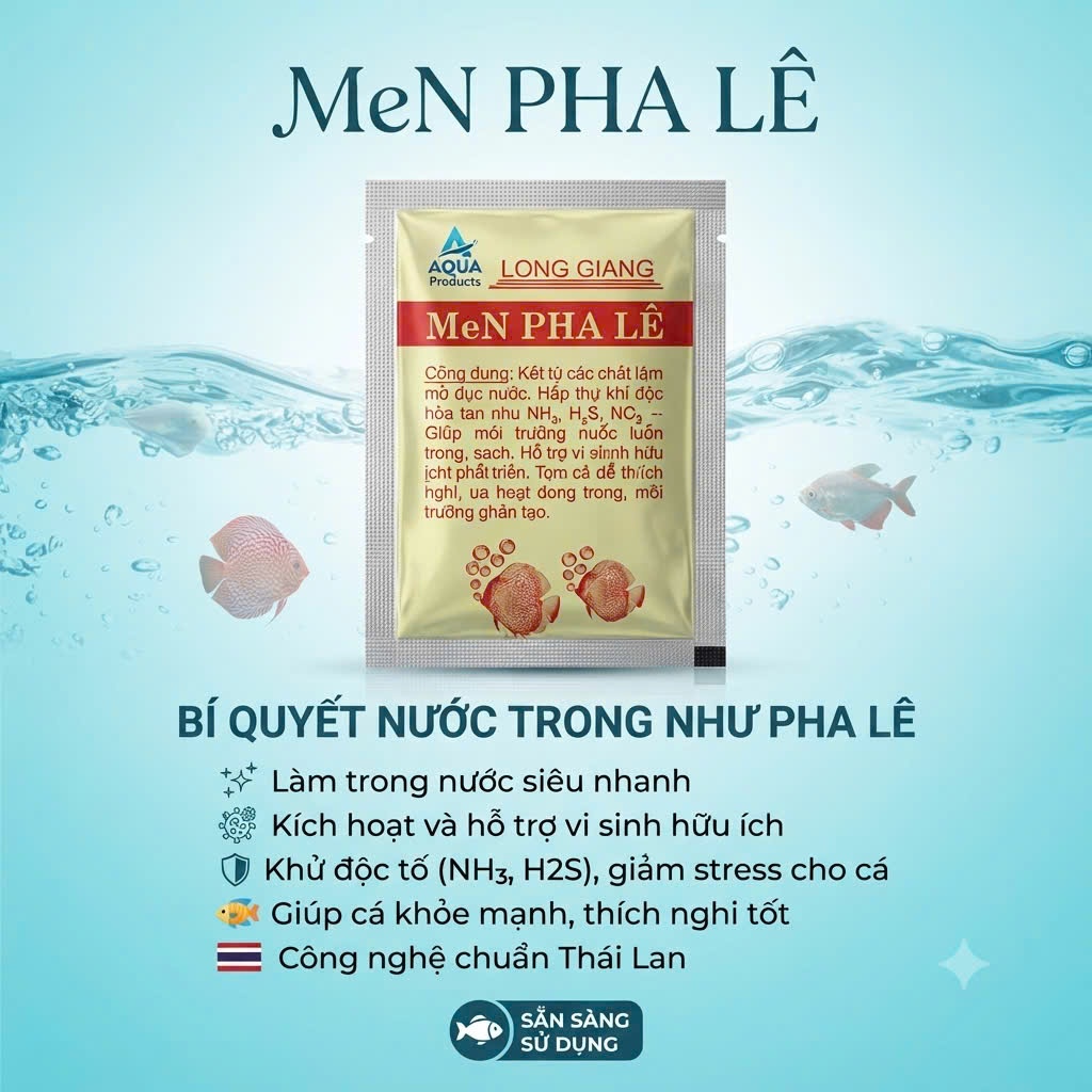 MEN PHA LÊ LONG GIANG LÀM TRONG NƯỚC HỒ CÁ