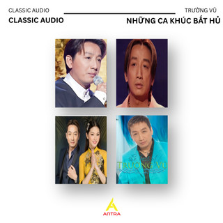 Bộ Sưu Tập Băng Cassette Ca Sĩ Trường Vũ Nhạc Vàng - Nhạc Lính, Copy Nhạc Theo Yêu Cầu