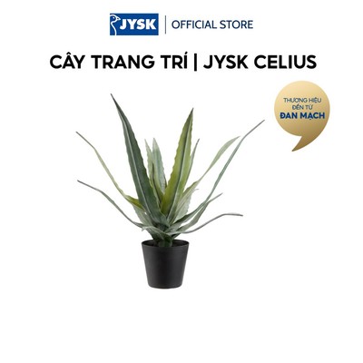 Cây trang trí | JYSK CELIUS | nhựa PE/PP | xanh lá | Ø30xC39cm