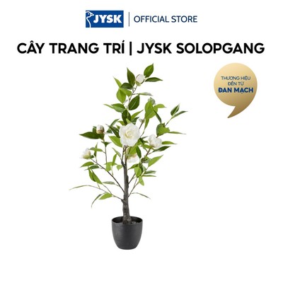 Cây trang trí | JYSK SOLOPGANG | nhựa PP/thép | xanh/trắng | Ø40xC80cm
