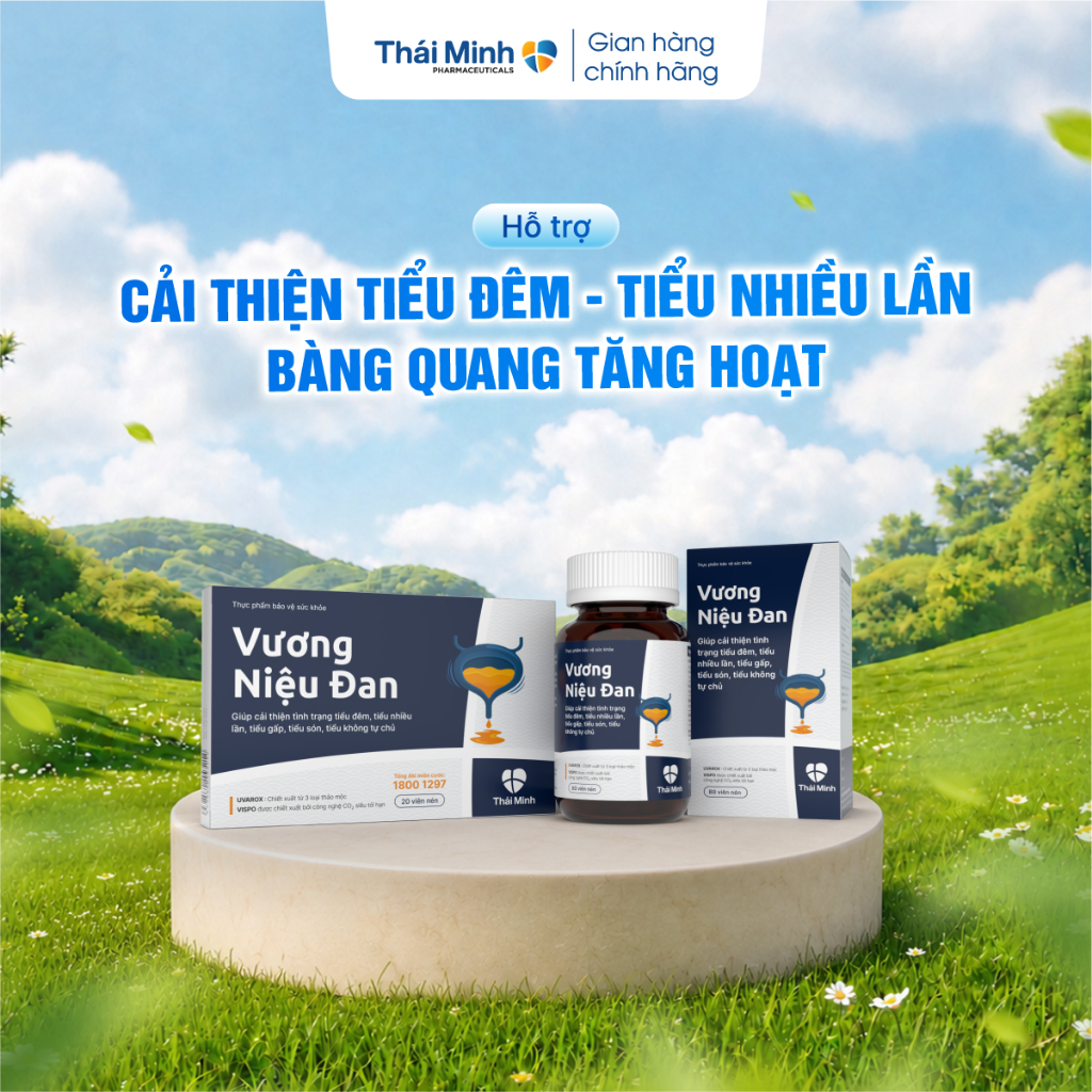 Vương Niệu Đan Thái Minh - Hỗ trợ cho người tiểu đêm, tiểu nhiều, tiểu són, bàng quang tăng hoạt - H