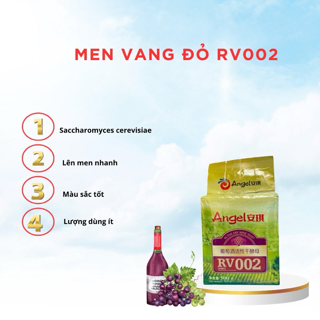 Men Vang Đỏ ECO Active dry wine yeast RV002