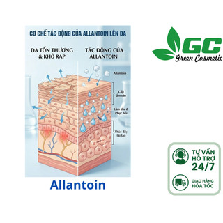 [HCM] Allantoin (có HD) - Chất chống kích ứng - nguyên liệu mỹ phảm Greencosmetics 50g, 100g