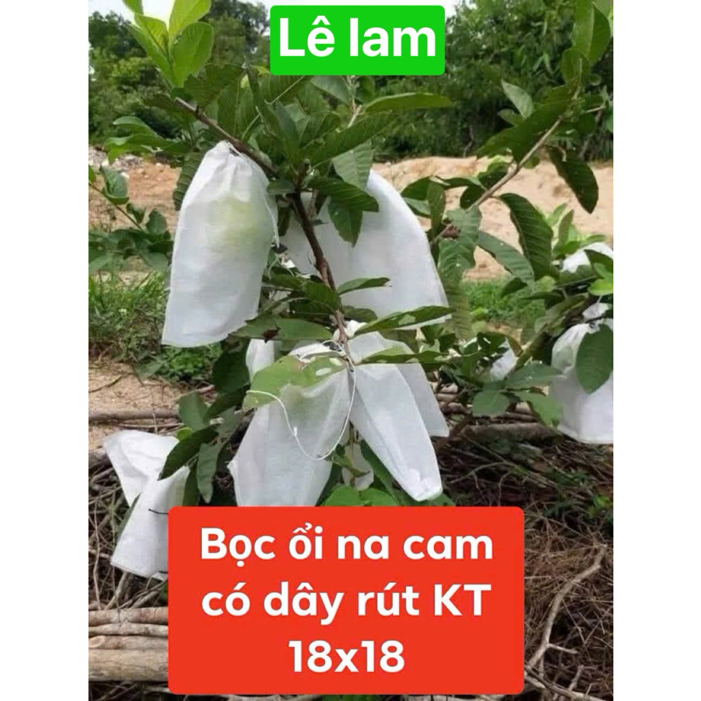 combo 50_100 túi bao ổi 18x18.bưởi 30x30. mướp đắng.15x30 mướp15x60  mít