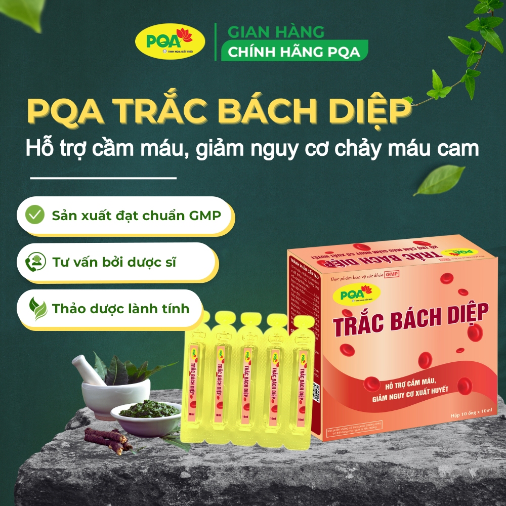PQA TRẮC BÁCH DIỆP: Hỗ trợ cầm máu, giảm nguy cơ xuất huyết