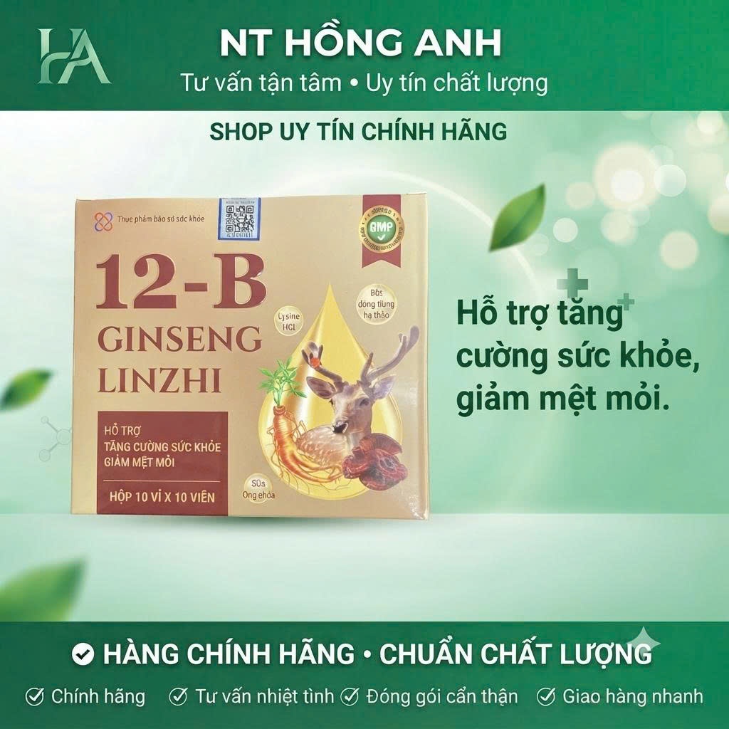 Hỗ trợ Tăng Cường Sức Khỏe Giảm Mệt Mỏi 12B Ginseng Linhzhi Vinaphar (H/100v)
