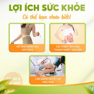 Phan tả diệp 100g, lá phan tả, không vụn, xanh đẹp, không lẫn tạp chất - Tổng Kho Sỉ Thảo Dược