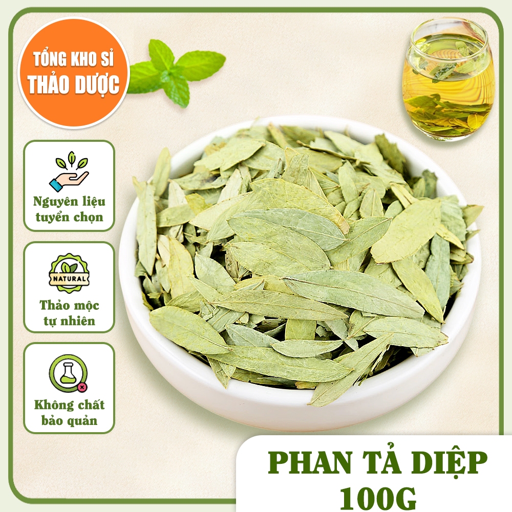 Phan tả diệp 100g, lá phan tả, không vụn, xanh đẹp, không lẫn tạp chất - Tổng Kho Sỉ Thảo Dược