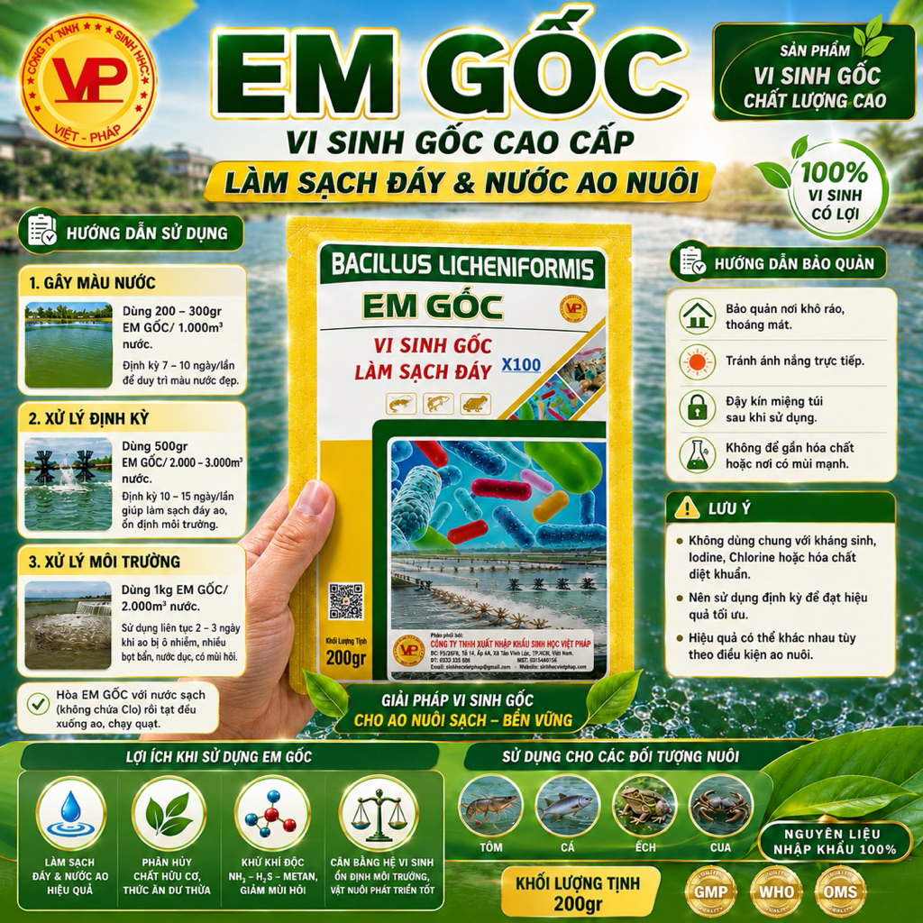 EM GỐC- men Vi sinh gốc làm sạch đáy ao tôm cá ếch chất lượng cao