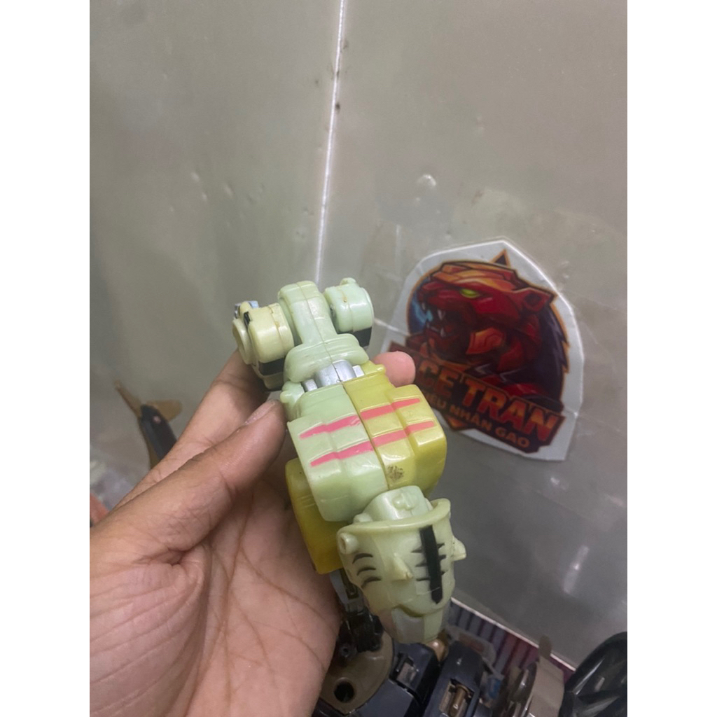 Gao cọp trắng  F1