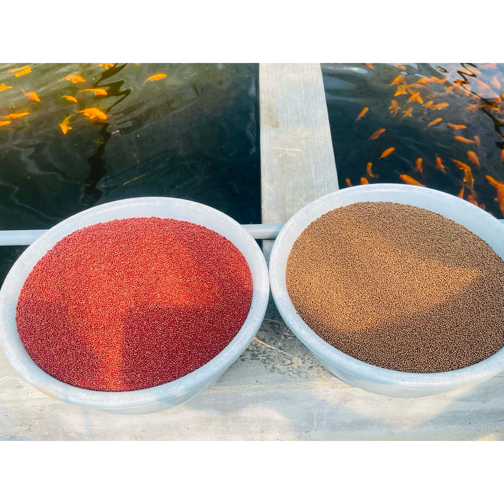 10g carophyll pink 10% cws (astaxanthin 10%)