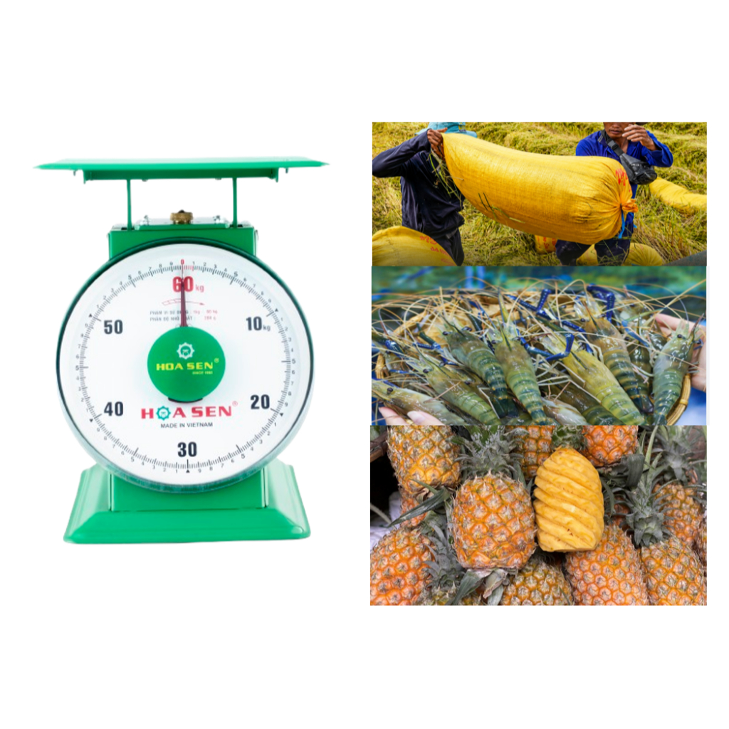 [ 60kg] Cân Hoa Sen đồng hồ 60kg cân nông sản-rau củ-hàng xuất khẩu