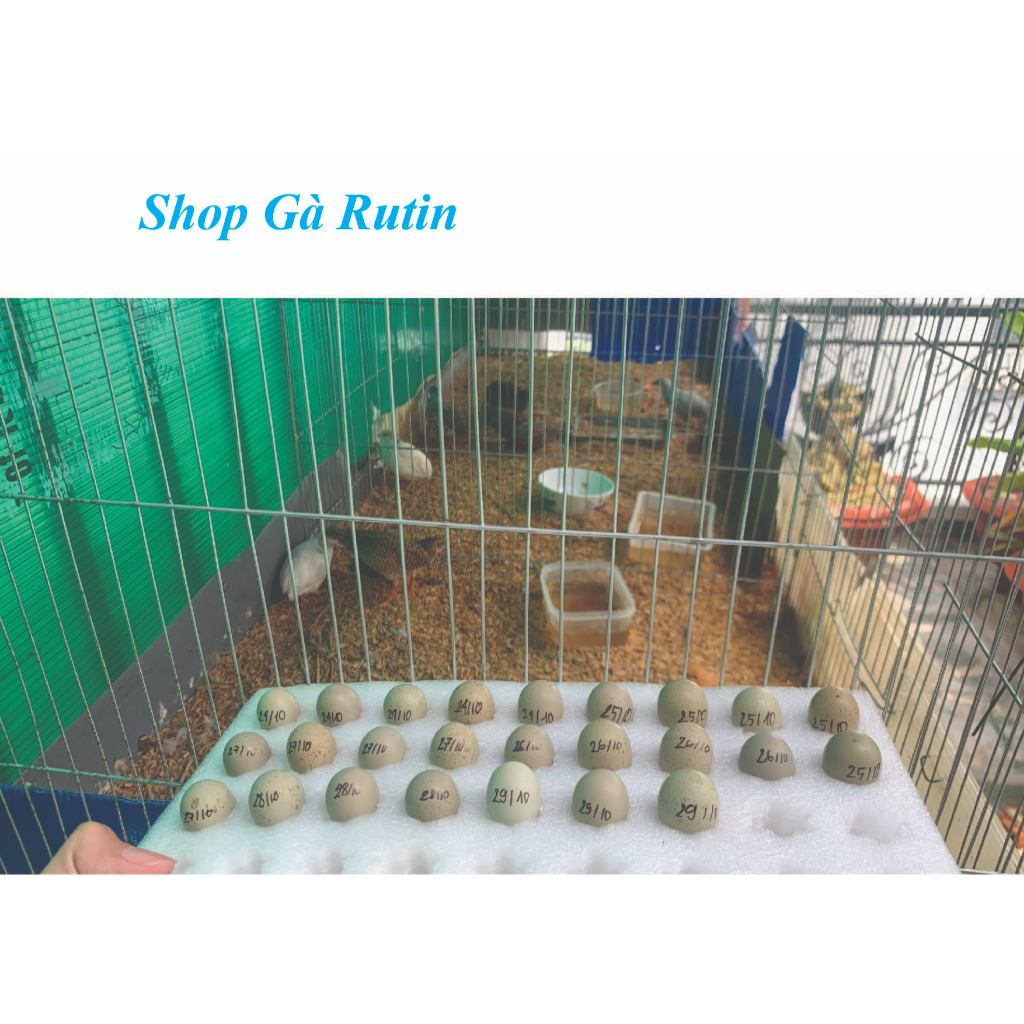 Trứng Gà Rutin Trải Nghiệm Khoa Học Cho Bé (Nhặt Mới Tại Trại) và cám gà con Deheus 7780