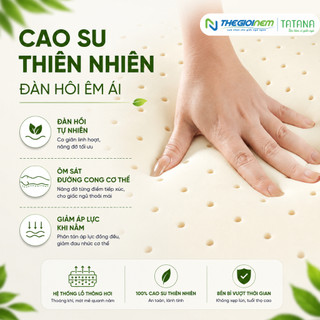 Nệm Cao Su Bông Đa Tầng Tatana Gấp 3, ThiếtKế TiệnDụng, ÁoNệm Làm Mát KếtHợp Lớp Cao Su Mền Mại ÊmÁi