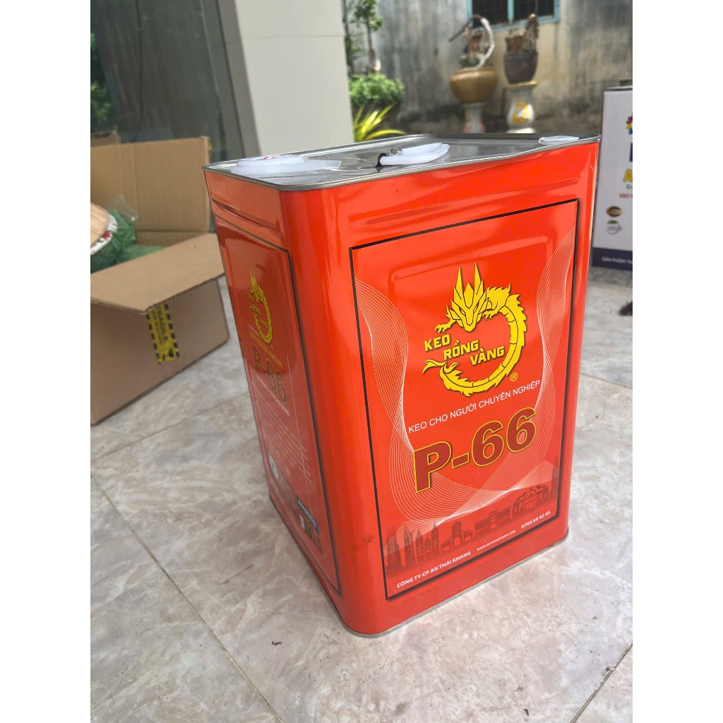 Keo dán Rồng Vàng P66 1 Thùng 15KG