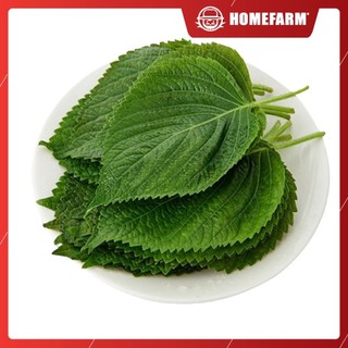 Lá Vừng Hàn Quốc - Homefarm - Túi 40g (15-25 lá) - Gia vị ăn kèm BBQ