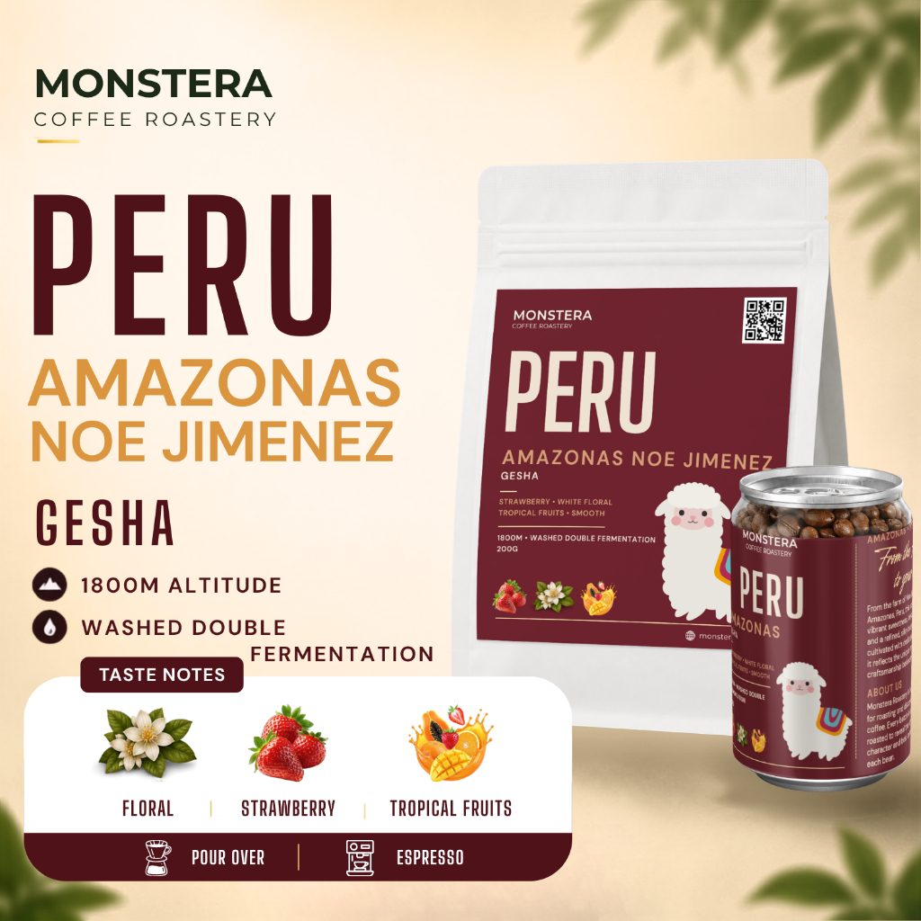 Peru – Amazonas Noe Jimenez Gesha - Nguyên hạt -  Specialty Coffee - Monstera Roastery