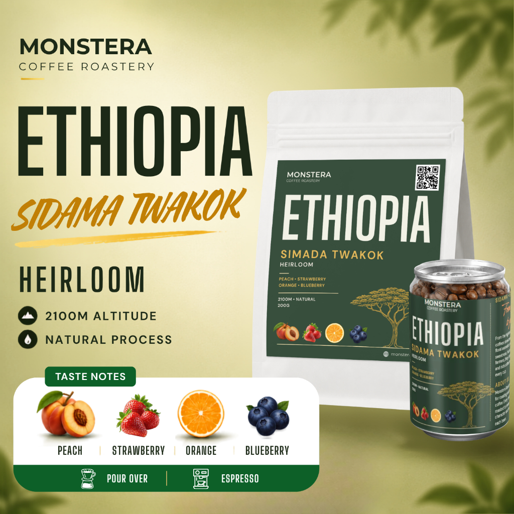 Ethiopia – Sidamo Twakok G1 - Nguyên hạt -   Specialty Coffee - Monstera Roastery