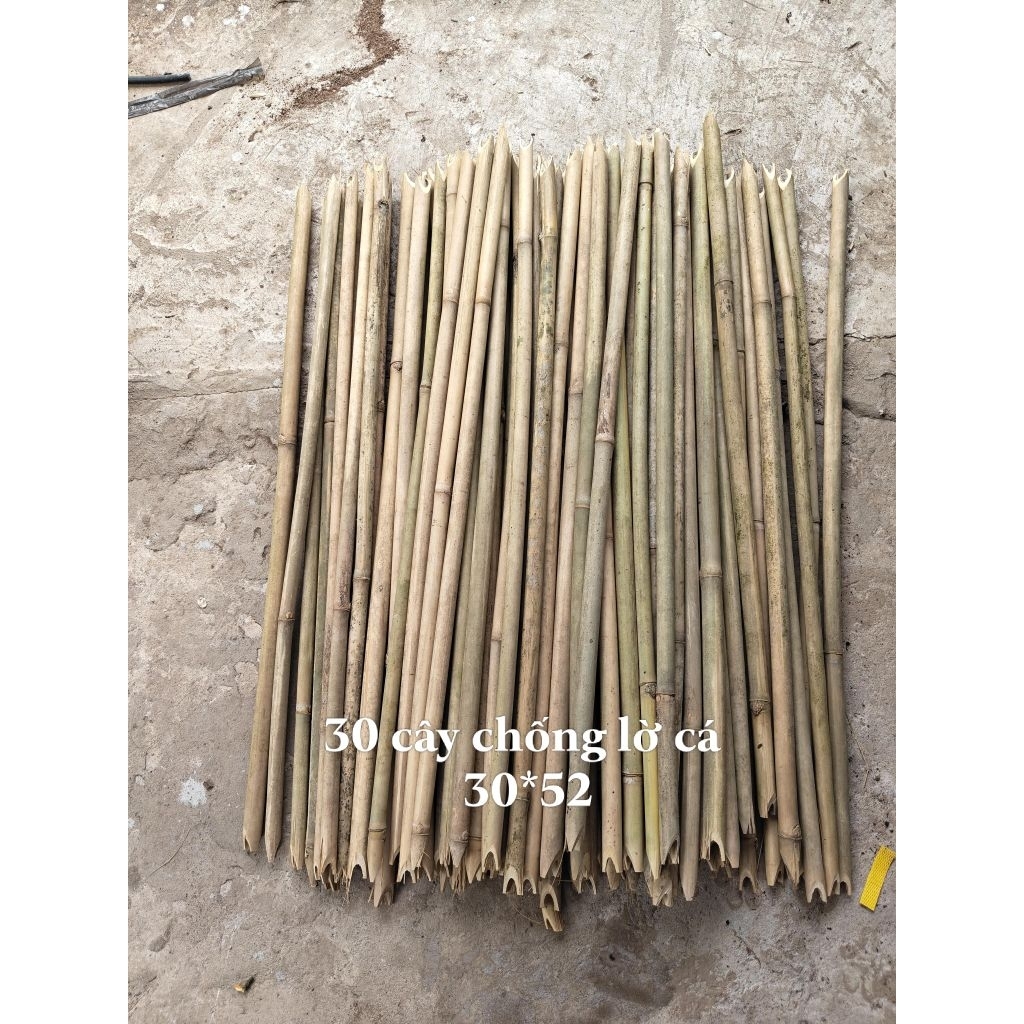 combo 30 cây chống lờ cá dài 53cm chống lờ cá cải tiến