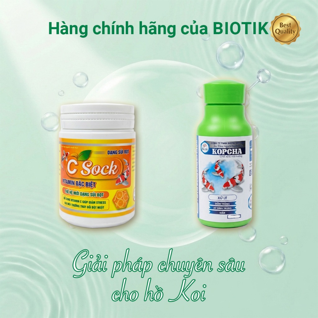 XỬ LÝ NẤM TRẮNG, NẤM MANG, TRÙNG QUẢ DƯA,... VÀ TĂNG SỨC ĐỀ KHÁNG CỦA NHÀ BIOTIK: KOCHA VÀ CSOCK