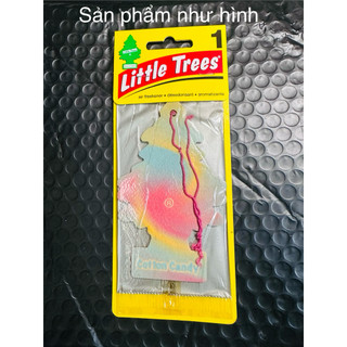 Cây thông thơm Little Trees