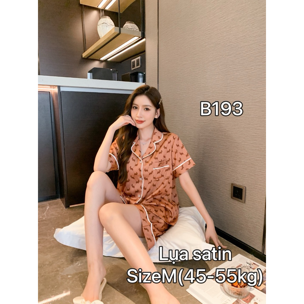 [Ship hỏa tốc] bộ tay ngắn quần ngắn cao cấp B193