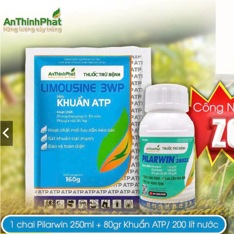 QUẢN LÝ BỆNH LUỘC LÁ hiệu KHUẨN ATP và PILARWIN của ATP
