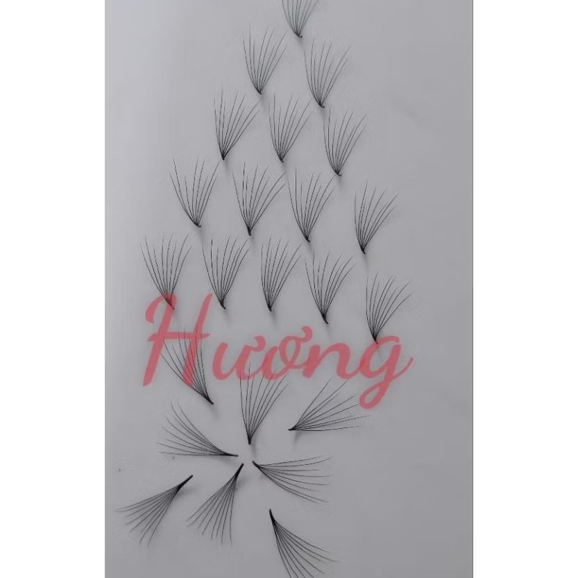 mi sole 8d., (camelia)0.05 1000 fan và 500 fan mi fan sẵn sole 8d camelia