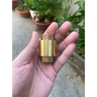 Lupe van 1 chiều lò xo đồng phi 21