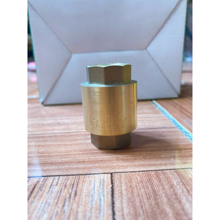 Lupe van 1 chiều lò xo đồng phi 21