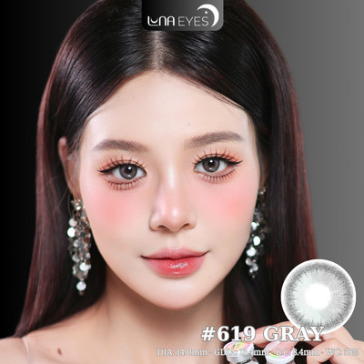 [6 tháng] Lens mắt 619 Gray màu xám pha nâu tự nhiên, viền đen, size nhỏ - thương hiệu LUNA EYES