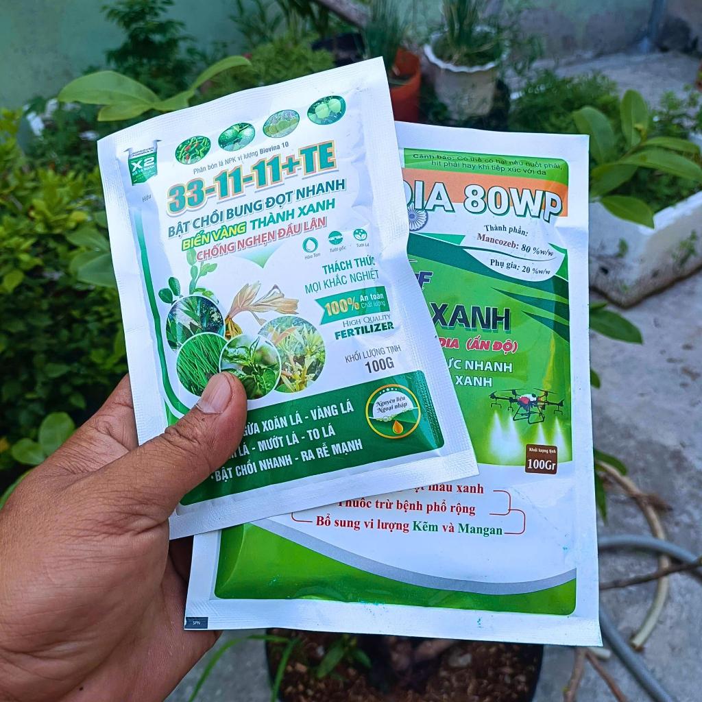 [Combo 2] Phân bón 33.11 Te và Manco Xanh giúp cây bung đọt, lá xanh càng thêm xanh => (33.11.TE + M