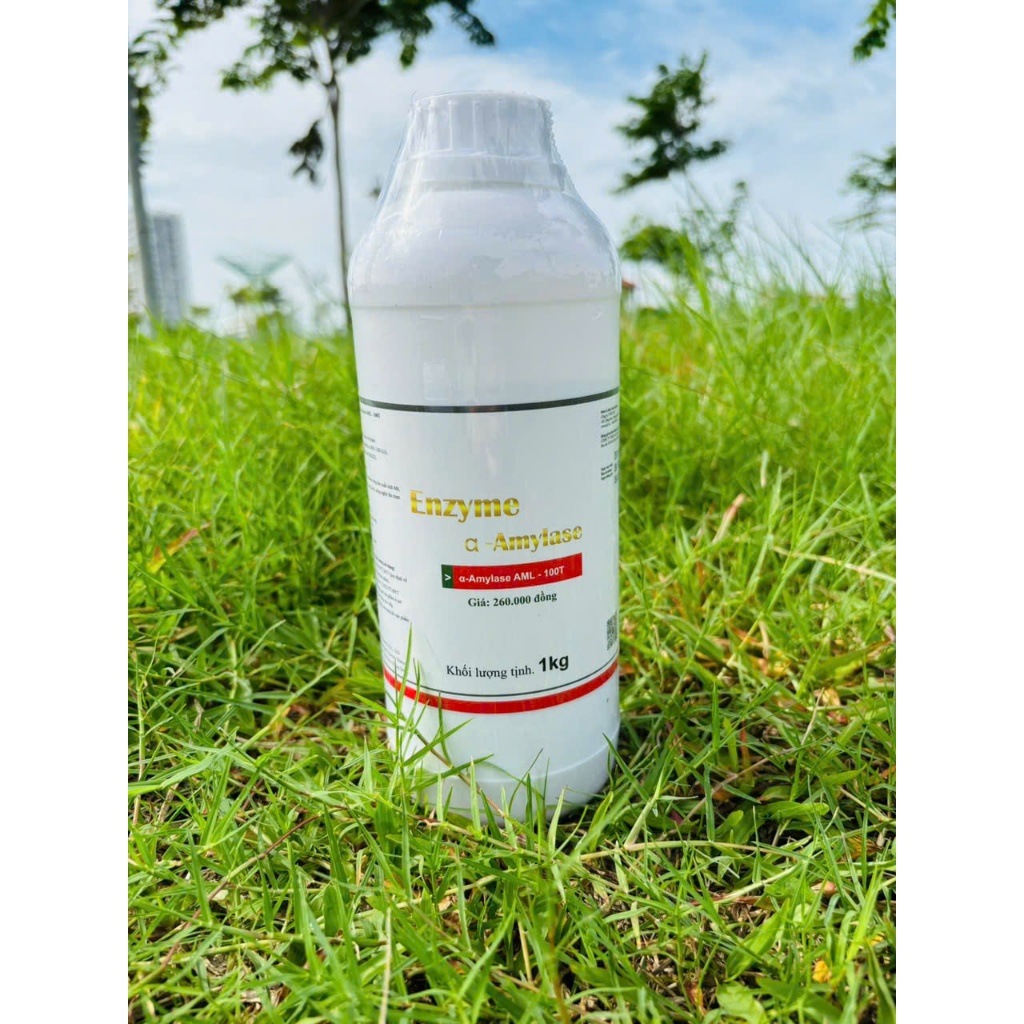 Enzyme Thermo-Stable α–Amylase AML-100T chai 1kg