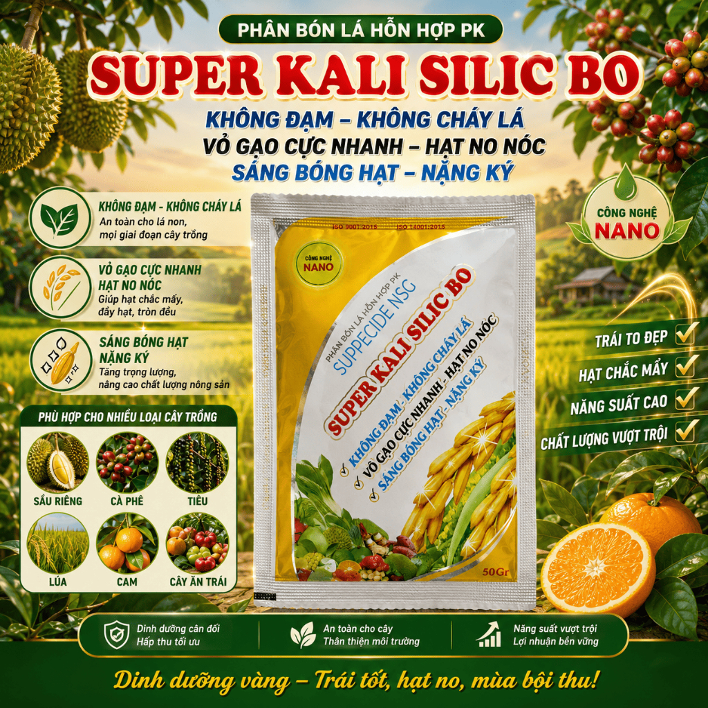 SUPER KALI SILIC BO Phân Bón Kali Cao Kết Hợp Silic & Bo, Đặc Biệt Giúp Chắc Hạt Lúa - Vào Gạo Nhanh