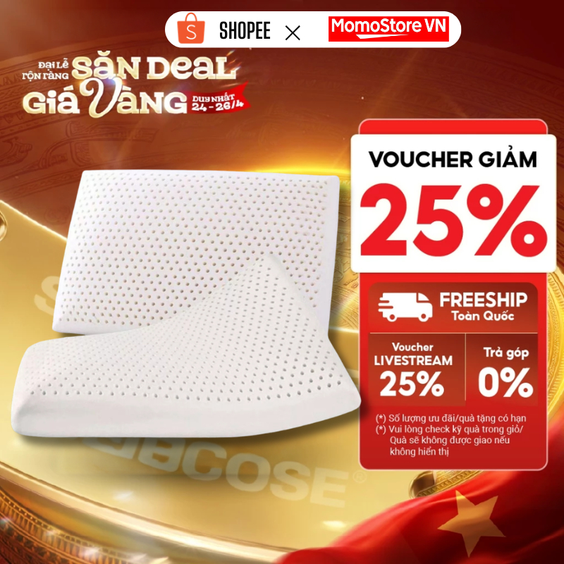 Gối tựa lưng văn phòng CECILA cao su non công thái học thoáng khí cho ghế làm việc