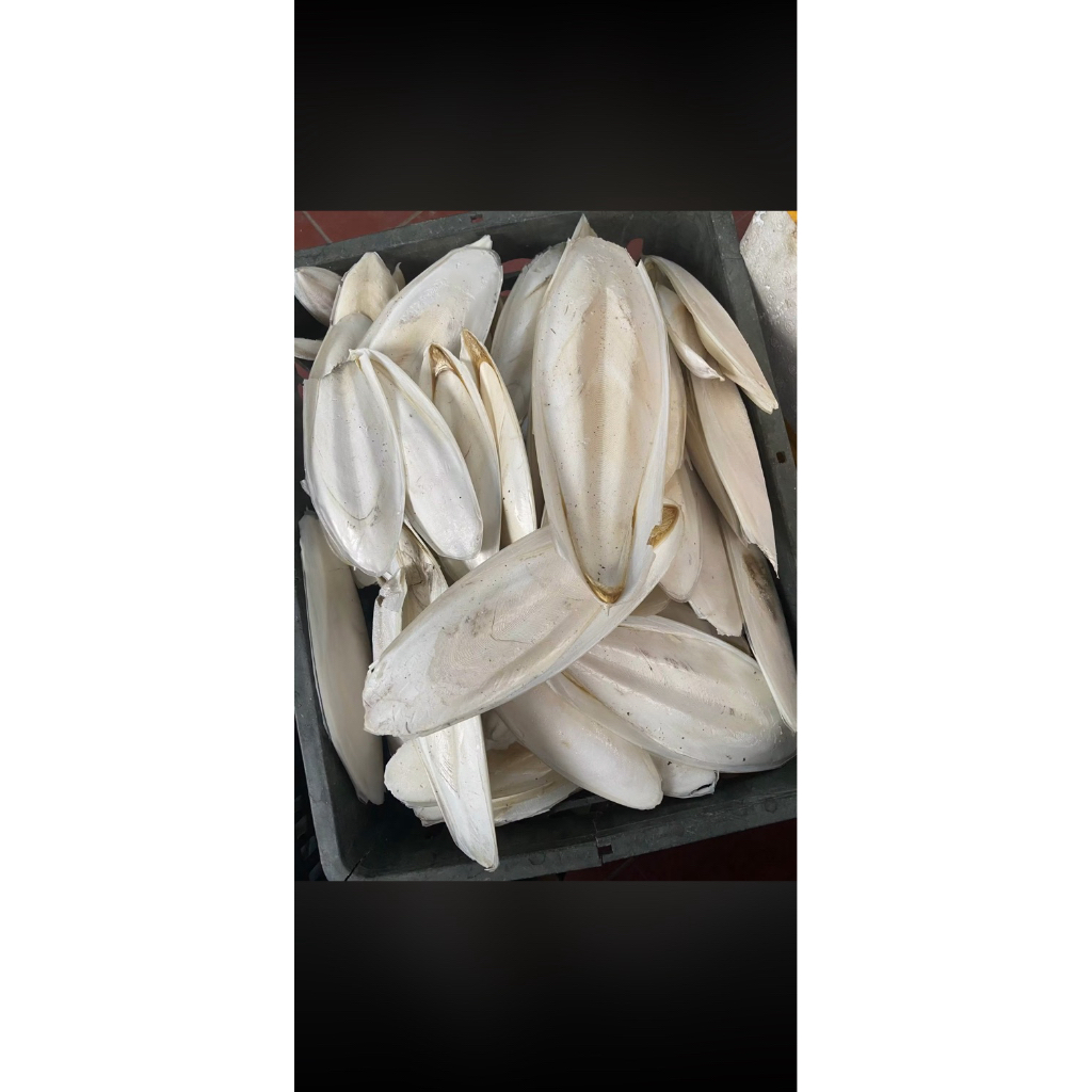 Mai mực (nang mực khô)