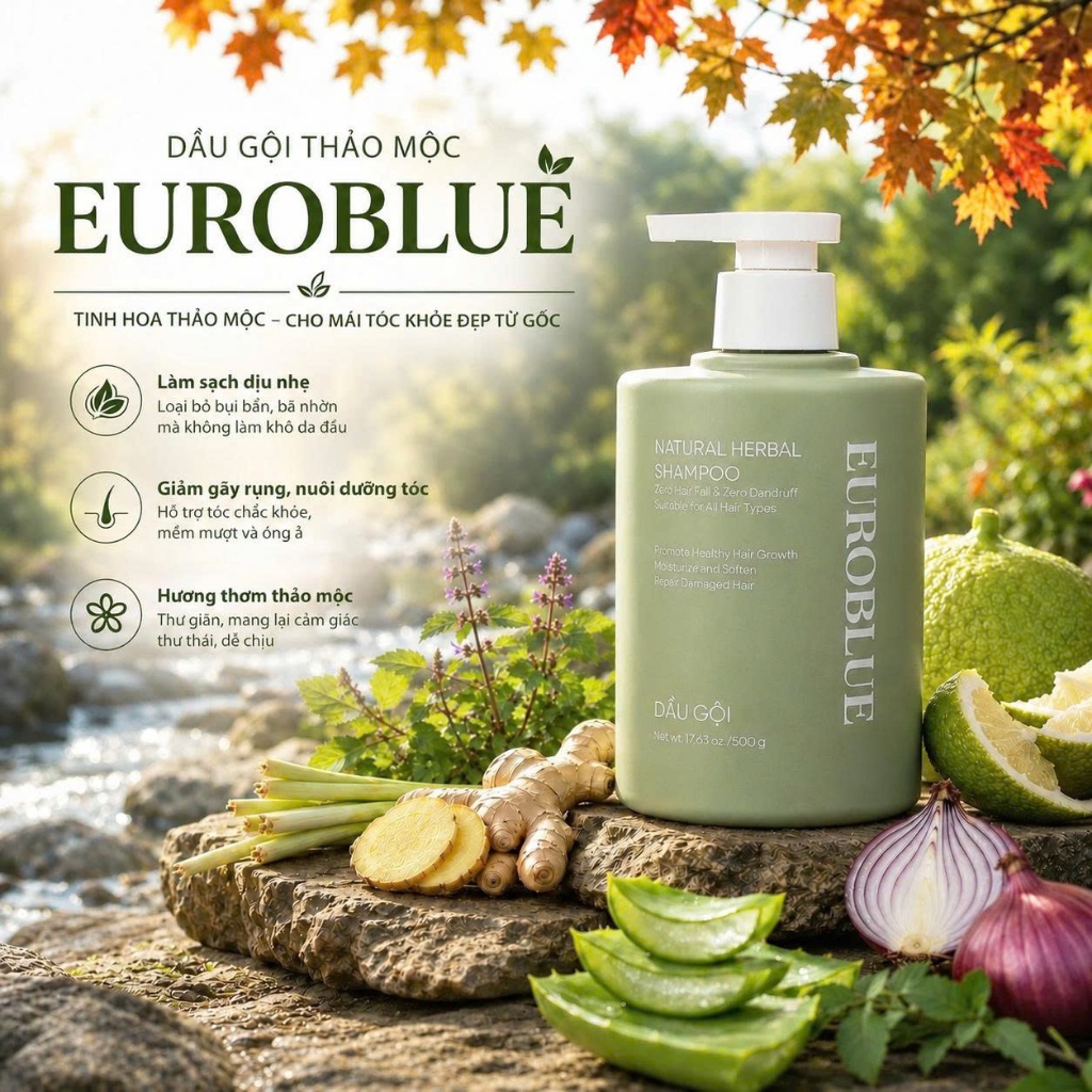 Dầu Gội Thảo Dược EuroBlue Gừng Sả Chanh Hương Nhu Giảm Rụng Tóc, Ngăn Gàu, Thư Giãn Da Đầu 500G