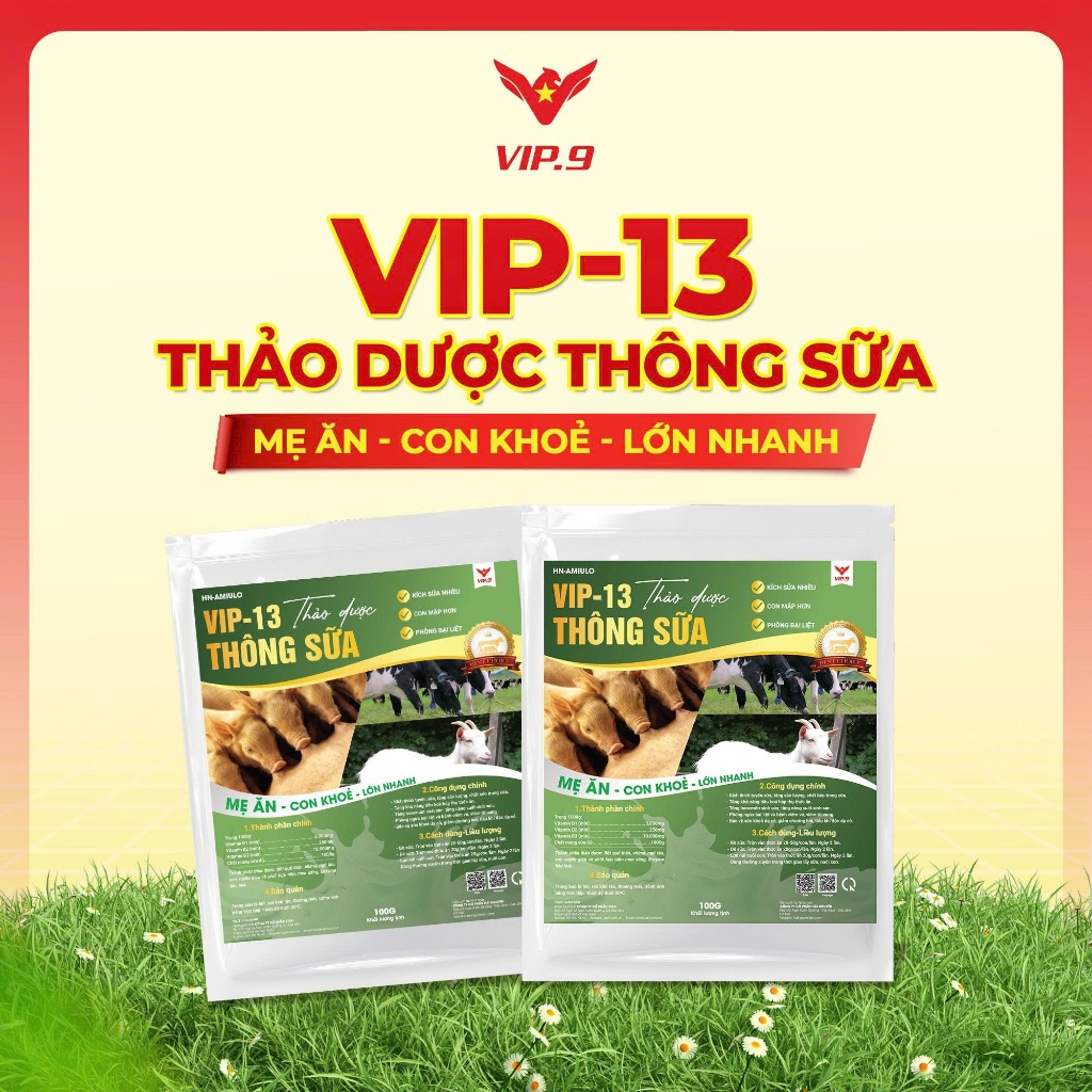 VIP-13: THÔNG SỮA HEO NÁI - Kích Sữa Cho Lợn Nái Sau Sinh, Hỗ Trợ Nái Khỏe Con Lớn Nhanh Đồng Đều - 