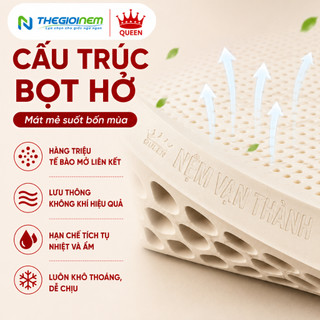 Nệm Cao Su Standard Vạn Thành, Mềm Mại Êm Ái, Nâng Đỡ Cột Sống Tối Ưu, Bảo Hành 12 Năm