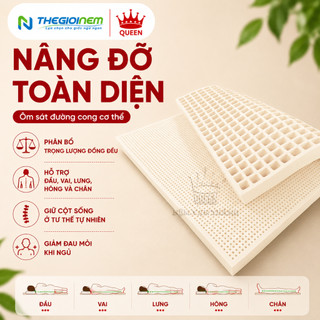 Nệm Cao Su Standard Vạn Thành, Mềm Mại Êm Ái, Nâng Đỡ Cột Sống Tối Ưu, Bảo Hành 12 Năm
