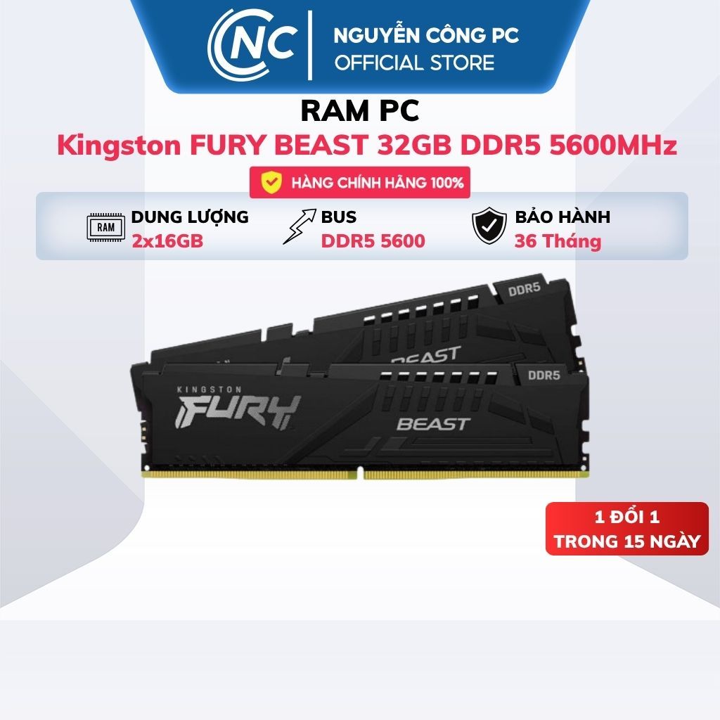 RAM Kingston FURY BEAST 32GB DDR5 5600MHz (2x16GB, KF556C40BBK2-32WP) - BH 36 tháng