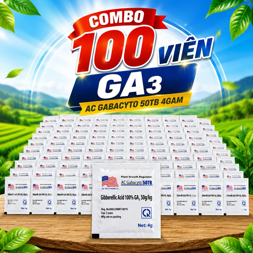 COMBO 100 viên GA3 (AC GABACYTO 50TB  4gam/viên #ga3