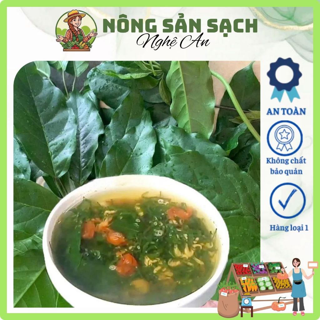 Lá Lằng Khô - Đặc Sản Nghệ An - Rau Lá Chân Chim Nấu Canh Cá Thơm Ngon, Giải Nhiệt
