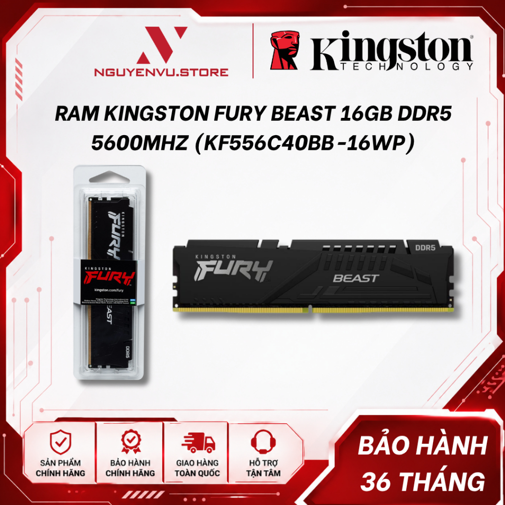 Ram Kingston Fury Beast 16GB DDR5 5600MHz (KF556C40BB-16WP) - Hàng chính hãng
