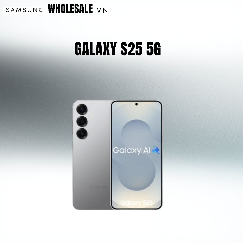 Samsung Galaxy S25 256GB