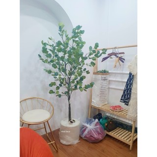 Cây Giả - Cây Bạch đàn Giả- Hàng cao cấp